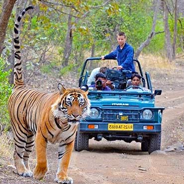 Golden Triangle Tours