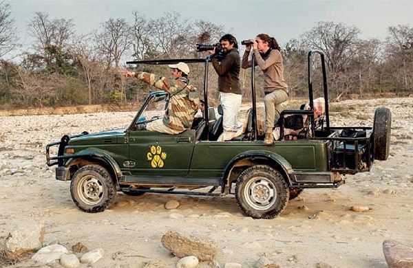 Corbett Jeep Safari Tour