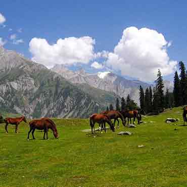 Kashmir Tour Packages