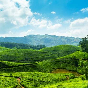 Kerala Tour Packages