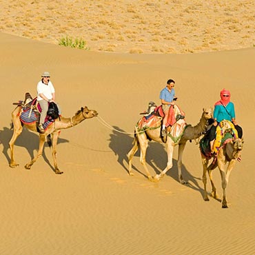 Rajasthan Camel Safari Tour