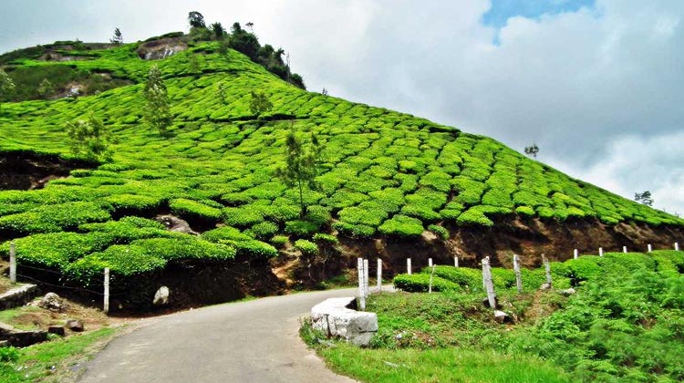 Kerala Tours