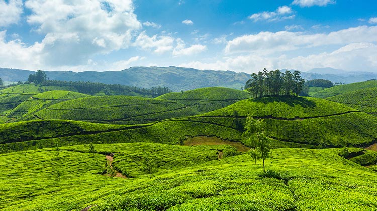 Kerala Tours